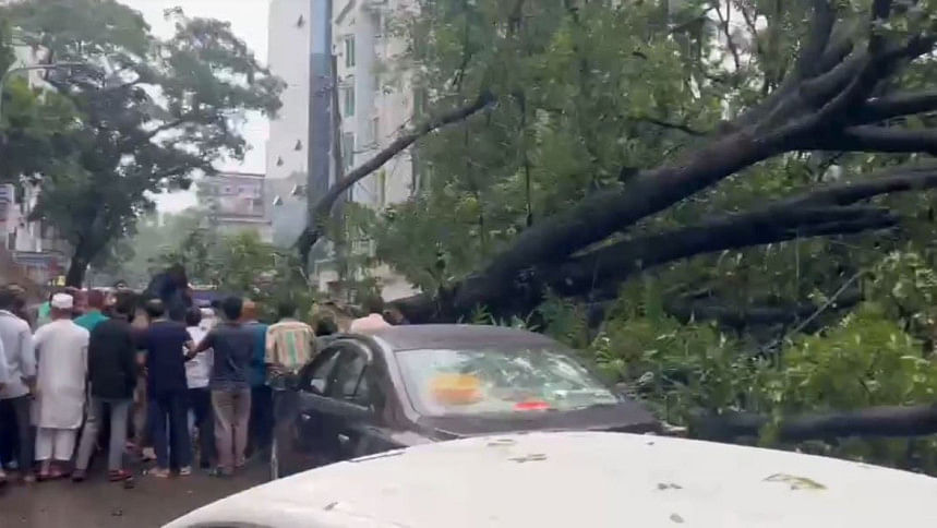 ধানমন্ডি ধানমন্ডি