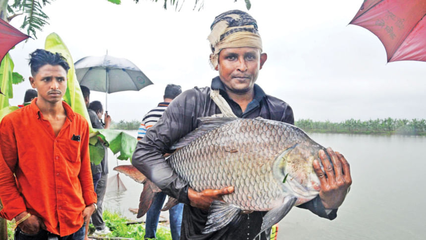 পুকুরে মাছ ধরছেন খামারি