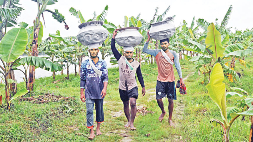 বাংলাদেশে খামারভিত্তিক মাছ চাষ
