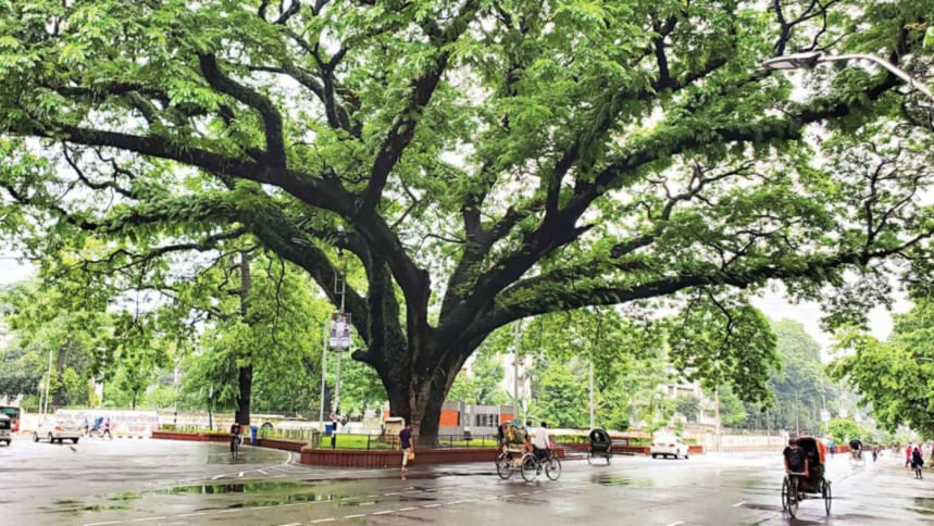ঢাকা বিশ্ববিদ্যালয়, ঢাকা বিশ্ববিদ্যালয় মল চত্বর, ঢাবি ক্যাম্পাস, ঢাবি স্মৃতি, বিশ্ববিদ্যালয় জীবন, ক্যাম্পাস স্মৃতিকথা, মল চত্বর পরিবর্তন, ঢাকা বিশ্ববিদ্যালয় প্রকৃতি, জারুল কৃষ্ণচূড়া, সোনালু ফুল, বিশ্ববিদ্যালয় সংস্কৃতি, ক্যাম্পাস জীবনের গল্প, ঢাকা বিশ্ববিদ ঢাকা বিশ্ববিদ্যালয়, ঢাকা বিশ্ববিদ্যালয় মল চত্বর, ঢাবি ক্যাম্পাস, ঢাবি স্মৃতি, বিশ্ববিদ্যালয় জীবন, ক্যাম্পাস স্মৃতিকথা, মল চত্বর পরিবর্তন, ঢাকা বিশ্ববিদ্যালয় প্রকৃতি, জারুল কৃষ্ণচূড়া, সোনালু ফুল, বিশ্ববিদ্যালয় সংস্কৃতি, ক্যাম্পাস জীবনের গল্প, ঢাকা বিশ্ববিদ