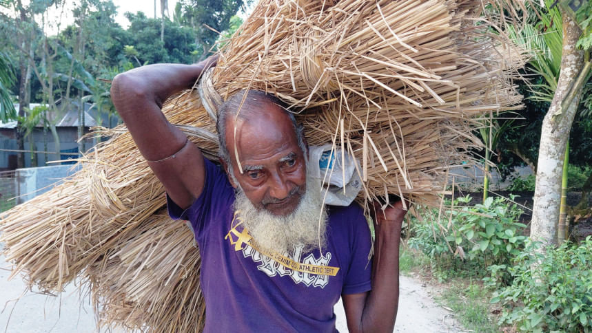 বেড়ে গেছে খড়ের দাম, বিপাকে রংপুরের গরুর খামারিরা