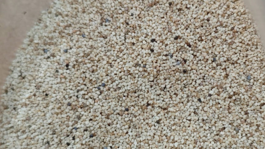 /article/পাখির খাদ্যের আড়ালে আসা ২৫টন আমদানি–নিষিদ্ধ পপি বীজ জব্দ