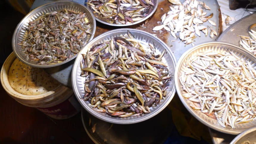 বাজার থেকে মিলেনিয়ালরা যেভাবে মাছ কিনবেন