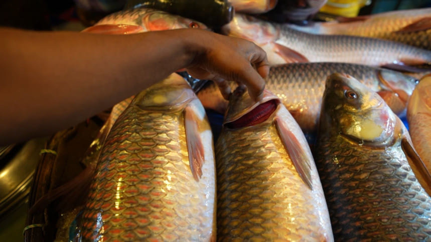 বাজার থেকে মিলেনিয়ালরা যেভাবে মাছ কিনবেন