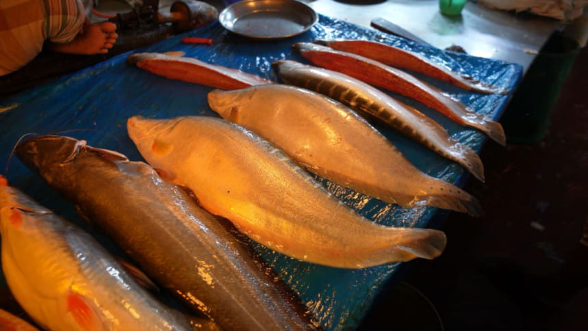 বাজার থেকে মিলেনিয়ালরা যেভাবে মাছ কিনবেন