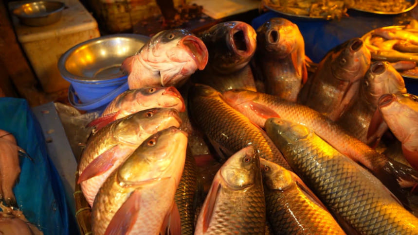 বাজার থেকে মিলেনিয়ালরা যেভাবে মাছ কিনবেন