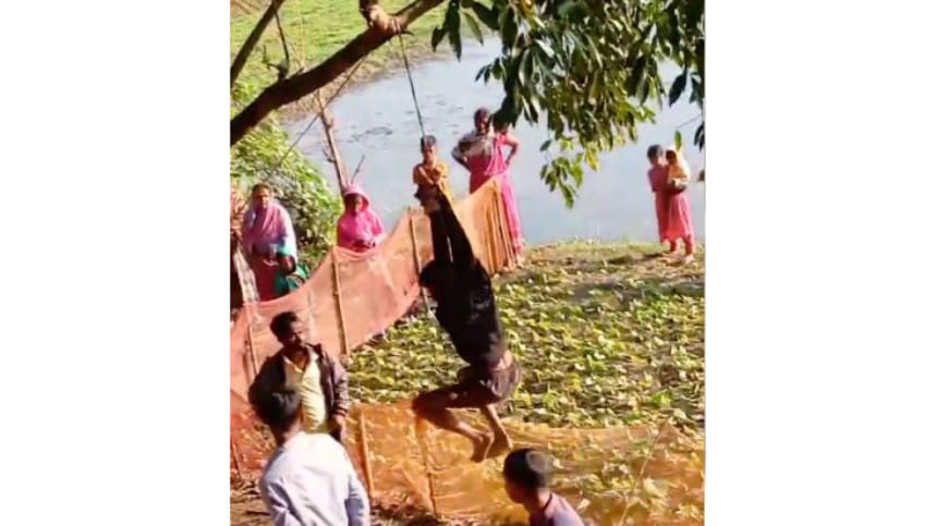 সিলেটে প্রতিবন্ধী যুবককে গাছে ঝুলিয়ে মারধর