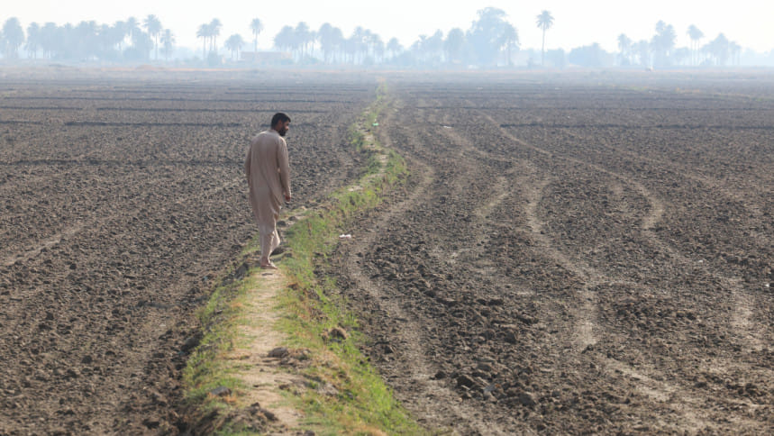  ইরাকের নাজাফের একটি শুকিয়ে যাওয়া কৃষিজমির পাশ দিয়ে এক ব্যক্তি হেঁটে যাচ্ছেন। খরা ও পানি স্বল্পতায় ইরাকের অনেক জমি চাষাবাদের অযোগ্য হয়ে পড়েছে। ফাইল ছবি: রয়টার্স (২৯ নভেম্বর, ২০২৫) 