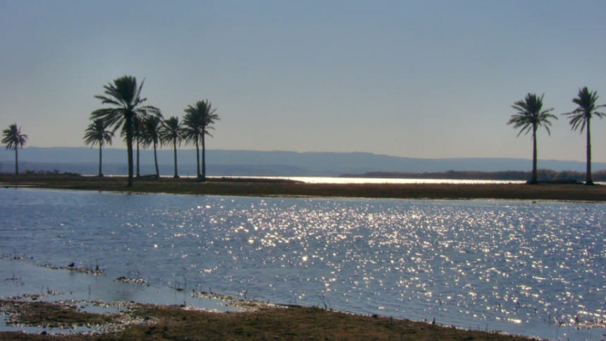 ইউফ্রেতিস (ফোরাত) নদের সেই সুজলা সুফলা রূপ আজ আর নেই। ছবি: উইকিমিডিয়া কমন্স/২০০৬