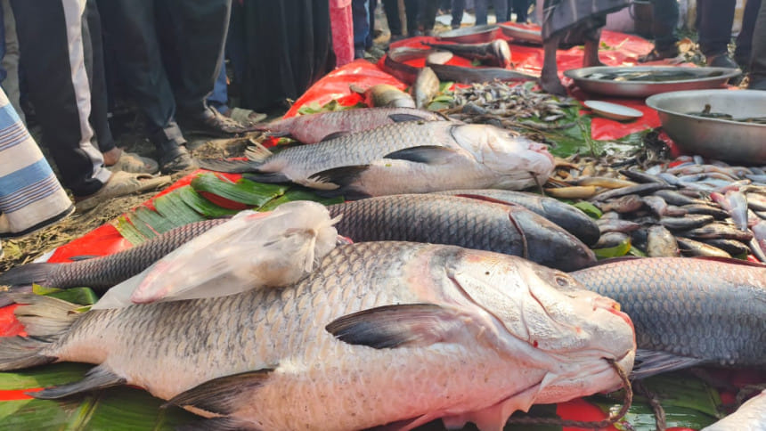 কালীগঞ্জে জমে উঠেছে ‘জামাই মেলা’