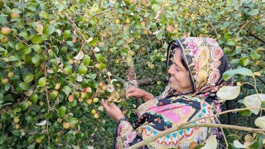 বরই কিনতে গিয়ে উদ্যোক্তা: এক নারীর জীবন বদলের গল্প