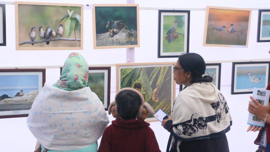 পাখি সংরক্ষণে জনসচেতনতা বাড়াতে রাবিতে পাখি মেলা