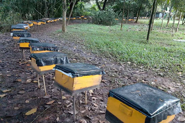 Gazipur_Honey1_31Oct20.jpg Gazipur_Honey1_31Oct20.jpg