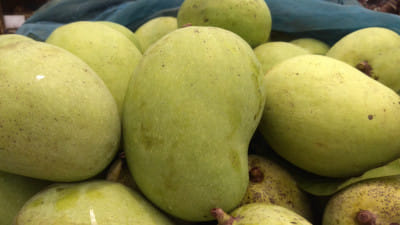 গুটি জাতের আম।