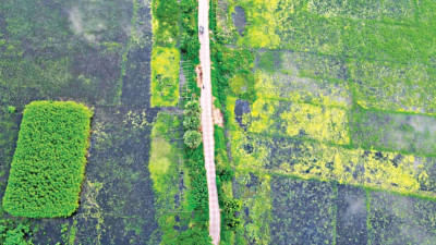 সিন্দুরিয়া