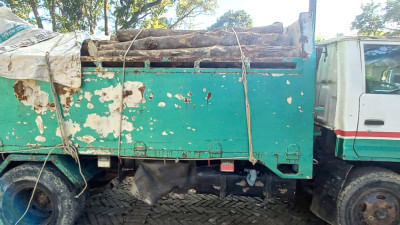 বান্দরবানে বন বিভাগের অভিযানে অবৈধ কাঠ জব্দ