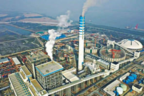 Payra Coal Payra Coal