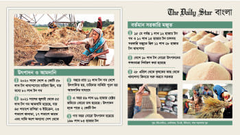 খাদ্য নিরাপত্তা, খাদ্যশস্য, ধান-চাল