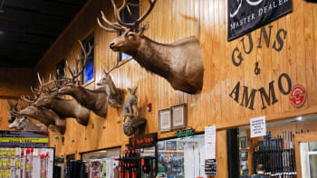 এই দোকান থেকেই বৈধভাবে ২টি রাইফেল ও ৩৭৫ রাউন্ড তাজা গুলি কেনেন রামোস