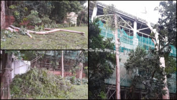 ঢাবিতে মেট্রোরেল স্টেশনের পাশে ‘ক্ষতিকর’ গাছ কাটছে কর্তৃপক্ষ ঢাবিতে মেট্রোরেল স্টেশনের পাশে ‘ক্ষতিকর’ গাছ কাটছে কর্তৃপক্ষ