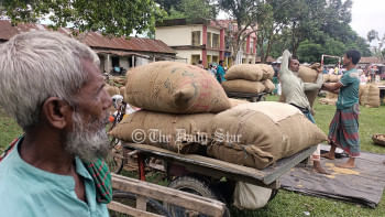 কৃষক কৃষক