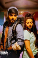 সুন্দরবন