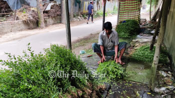 মেহেদি গ্রাম