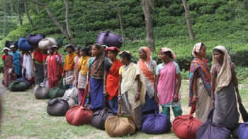 চা-শ্রমিক