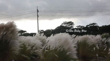 বরগুনা বিসিক