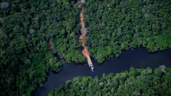 ব্রাজিল, পেলে