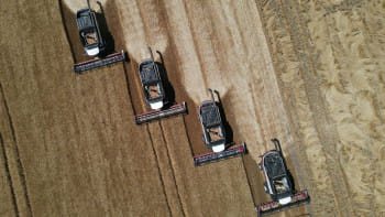 খাদ্যপণ্যের মূল্য বৃদ্ধি,