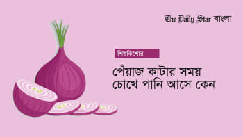 পেঁয়াজ কাটার সময় চোখে পানি আসে কেন