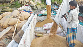আমন ধান চাল সংগ্রহ