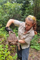 কুইন্সল্যান্ড অঙ্গরাজ্যের কনওয়ে জাতীয় পার্কে ১২ জানুয়ারি টহল দেওয়ার সময় পার্ক রেঞ্জার কাইলি গ্রে হটাত করেই টোডজিলাকে খুঁজে পান। ছবি: রয়টার্স