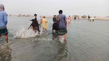 ব্রহ্মপুত্রে হাঁটু পানি