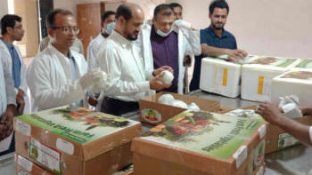 সুইজারল্যান্ডে বাংলাদেশের সবজি