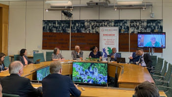 যুক্তরাজ্যের পার্লামেন্টে বাংলাদেশের ধর্মীয় স্বাধীনতা নিয়ে আলোচনা হয়েছে। ছবি: সংগৃহীত