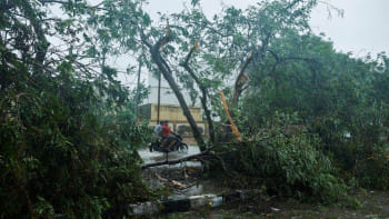 গুজরাটের কর্মকর্তারা গণমাধ্যমকে জানান, ভারী বৃষ্টিপাত ও ঝড়ো হাওয়ায় অন্তত ৫২৪টি গাছ ও বৈদ্যুতিক খুঁটি উপড়ে গেছে। ছবি: রয়টার্স