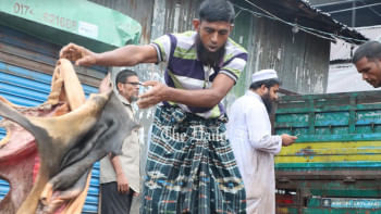 কোরবানি, কোরবানির চামড়া, ঈদ, কাঁচা চামড়া,