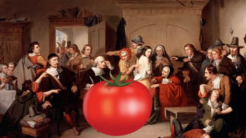 টমেটো ট্রায়াল: বিচারের কাঠগড়ায় যখন টমেটো