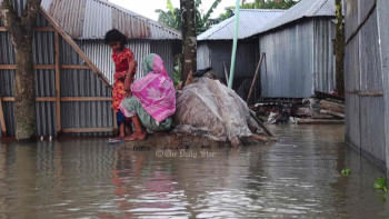 লালমনিরহাটে তিস্তার পানি বিপৎসীমার ৩ সেমি ওপরে বন্যার আশঙ্কা