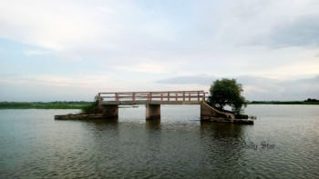 সড়কবিহীন কোটি টাকার সেতু