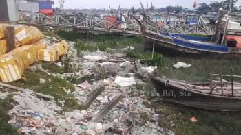 প্লাস্টিক দূষণ