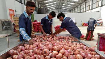 পেঁয়াজ, ভারতীয় পেঁয়াজ, ভারত, রপ্তানি,