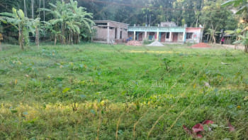 শারিকখালী সরকারি প্রাথমিক বিদ্যালয় খেলার মাঠ