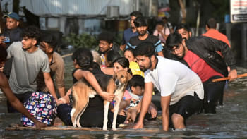 চেন্নাইতে বন্যাকবলিত মানুষ একটি ভেলার ওপর আশ্রয় নিয়েছেন। সঙ্গে একটি কুকুরকেও আশ্রয় দিয়েছেন তারা। ছবি: এএফপি