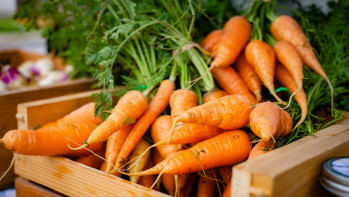 গাজরের পুষ্টিগুণ