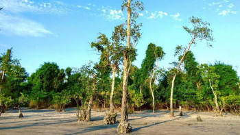কুয়াকাটা কুয়াকাটা