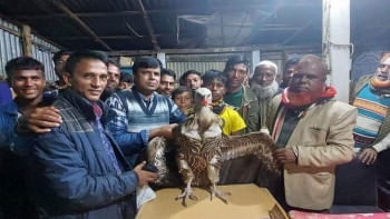 ঈগল ভেবে শকুন নিয়ে নির্বাচনী প্রচারণা ঈগল ভেবে শকুন নিয়ে নির্বাচনী প্রচারণা