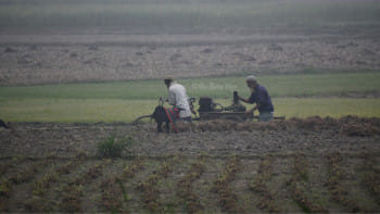 উত্তরাঞ্চল